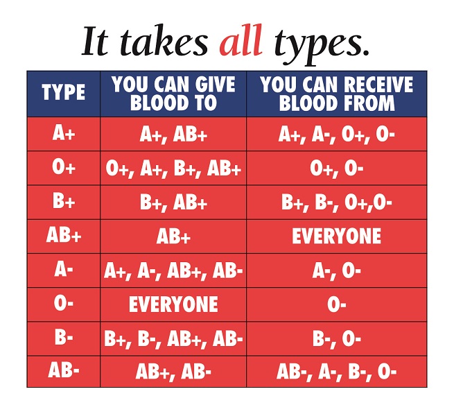 Blood Type Chart