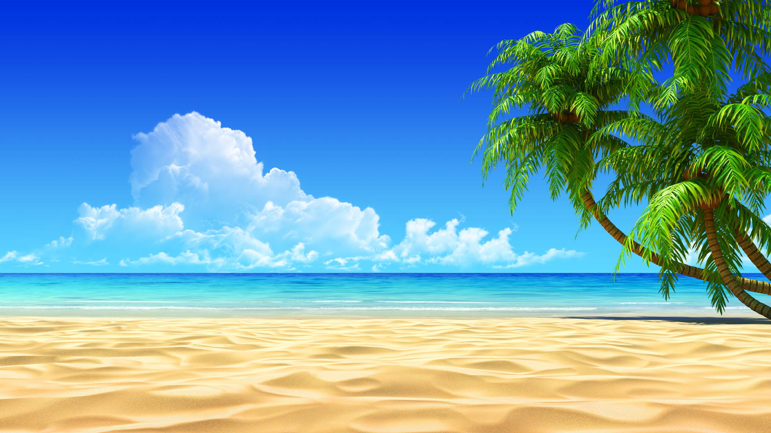 Beach Background images hd free download