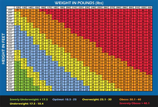 Bmi Chart 2020 Burge Bjgmc Tb Org