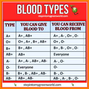 Blood group chart – Printable graphics