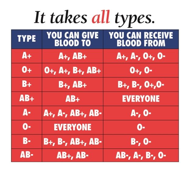 Blood group chart – Printable graphics