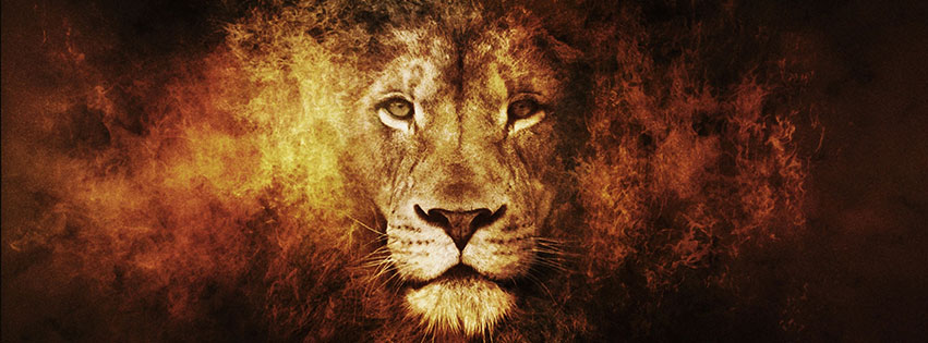 Download Facebook cover photos hd with image of lion