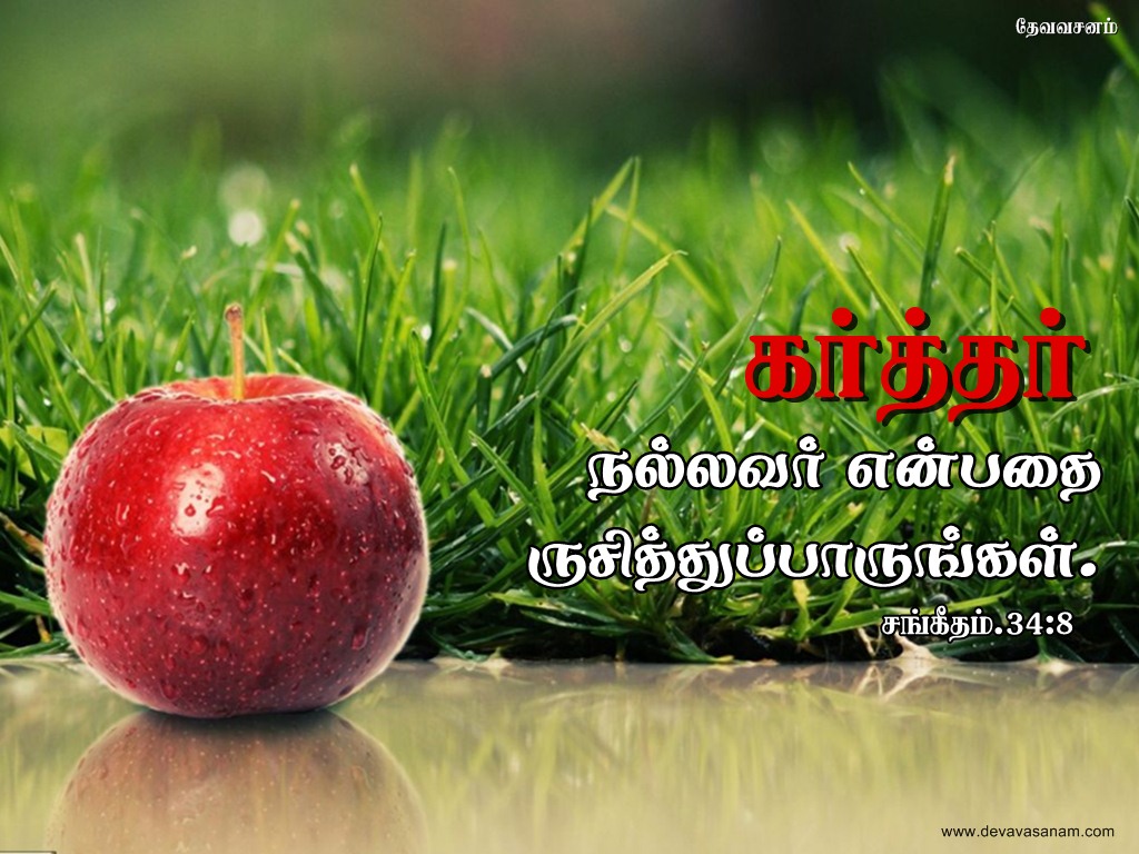 Download Tamil bible verses wallpaper with tamil words