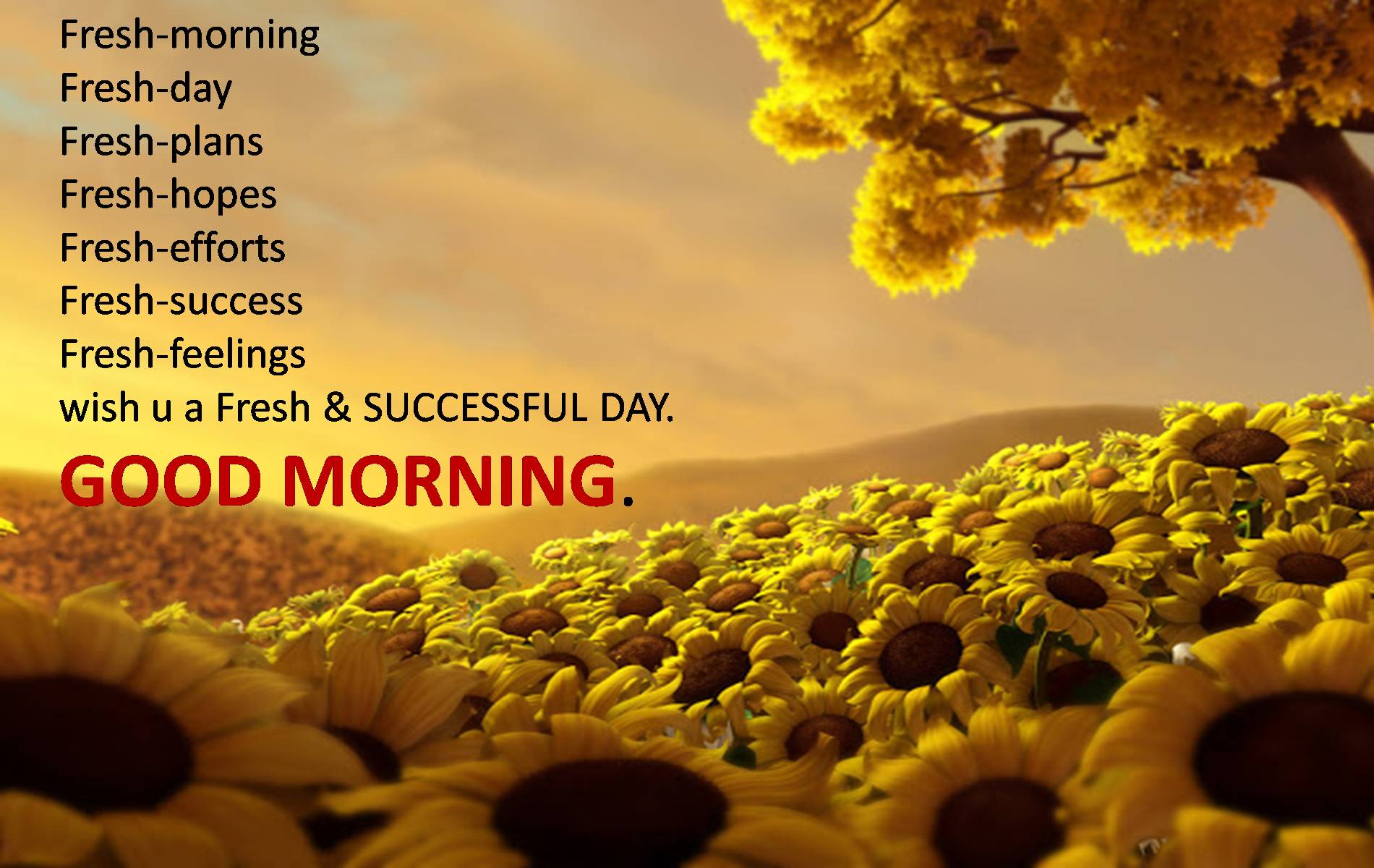 Download free images of good morning wishes