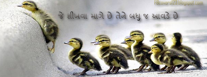 Gujarati facebook cover photos