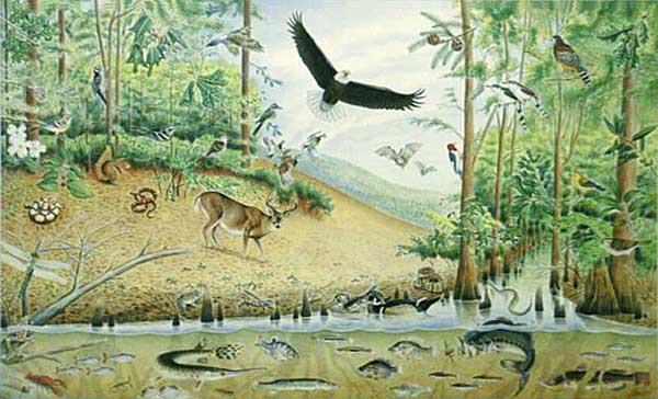 Download Poster on wildlife