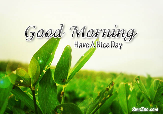 Free Good morning sms image