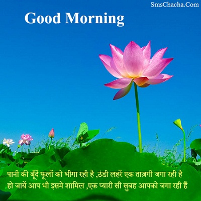 Free Good morning sms with hindi msg and flowers pic