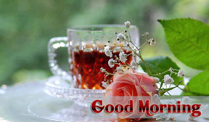 Free Good morning sms with tea and flowers