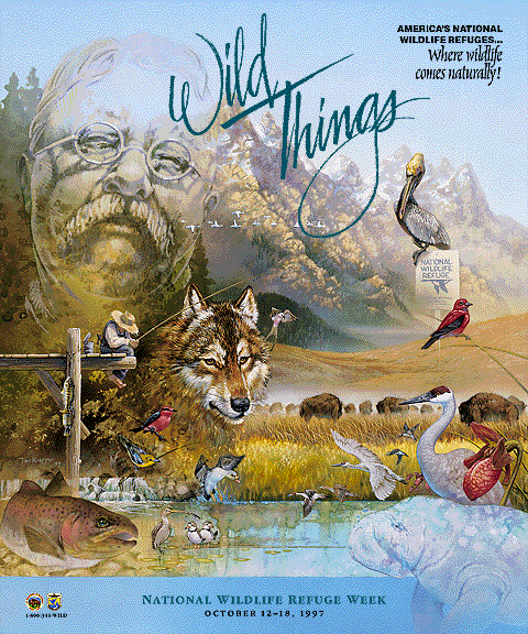Poster on wildlife america