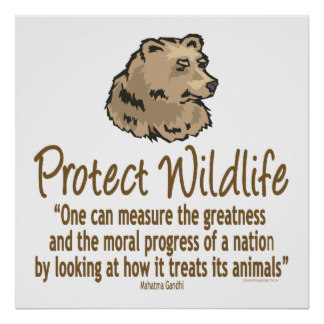 Poster on wildlife protection