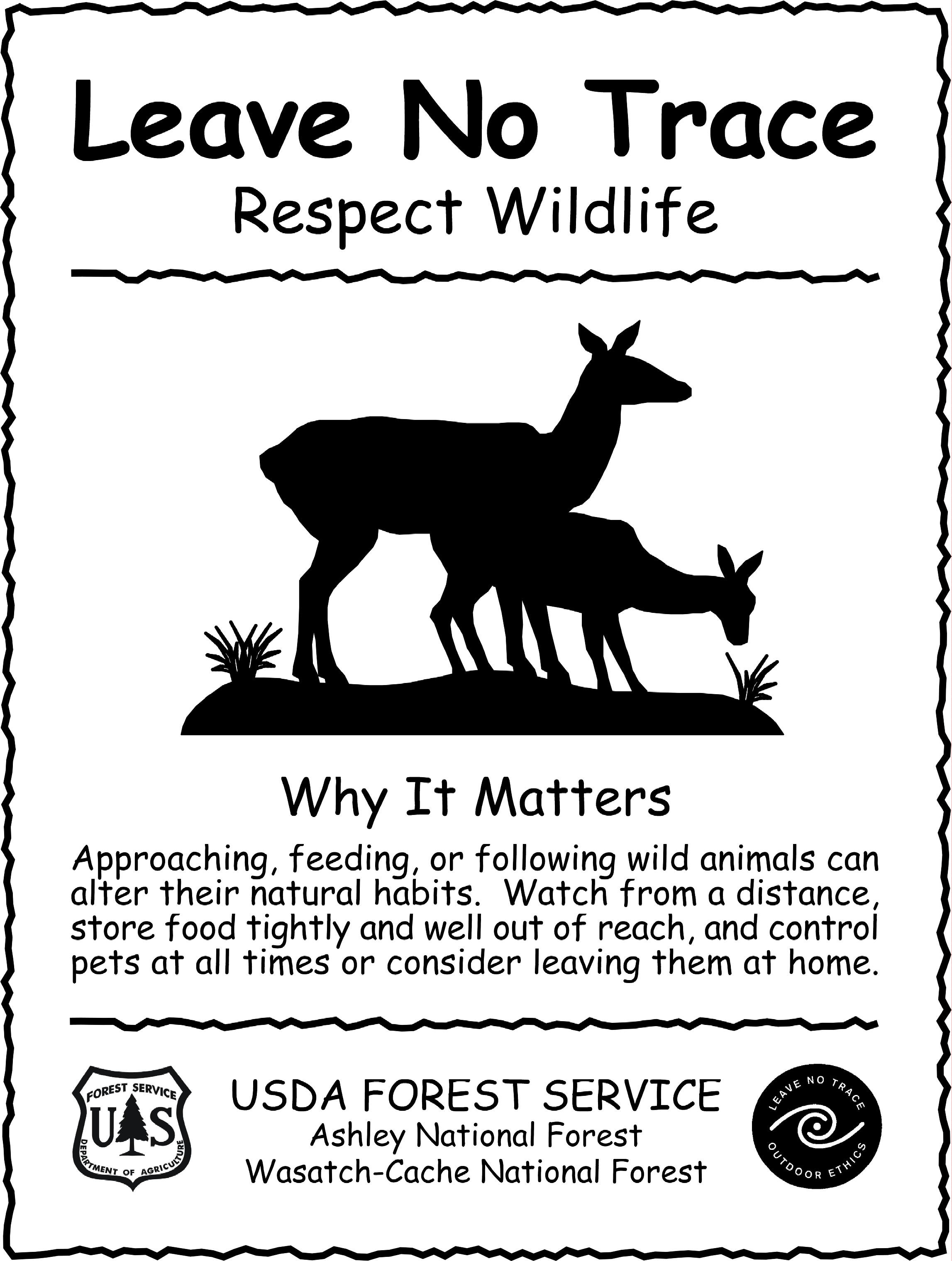 Poster on wildlife protections and conservation