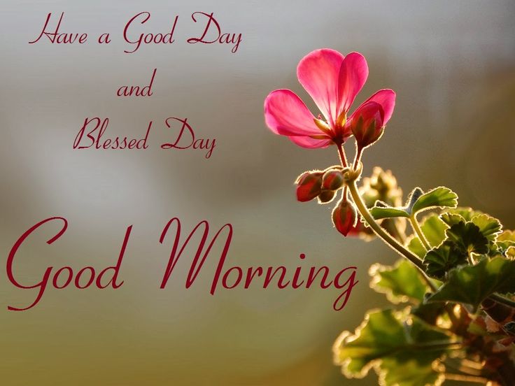 Send Free Good morning sms 2017