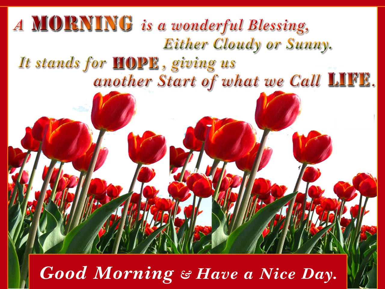 Send Free Good morning sms quote