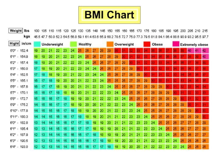 Download Free BMI chart for women