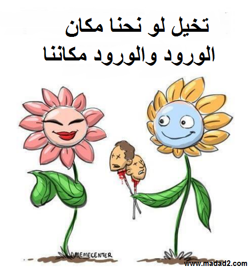 أحدث الصور مضحكة