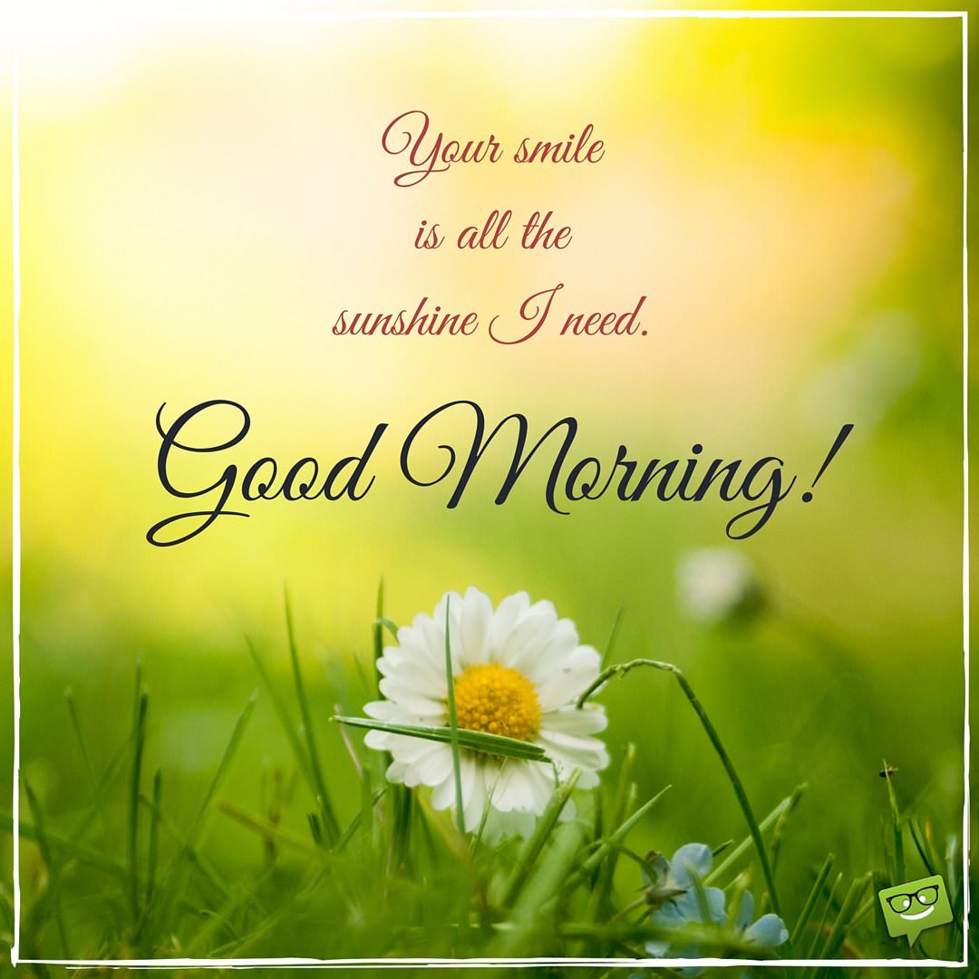 Good morning messages with flower image