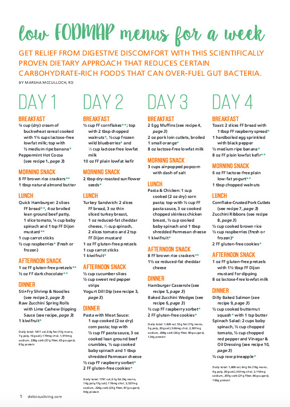 Daily Fodmap meal plan chart Printable graphics