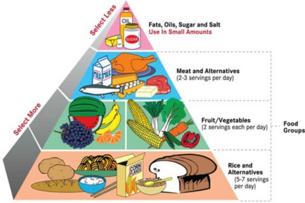 Diet chart (4)